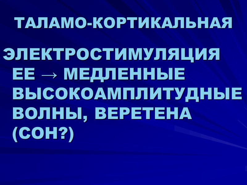 ТАЛАМО-КОРТИКАЛЬНАЯ ЭЛЕКТРОСТИМУЛЯЦИЯ ЕЕ → МЕДЛЕННЫЕ ВЫСОКОАМПЛИТУДНЫЕ ВОЛНЫ, ВЕРЕТЕНА (СОН?)